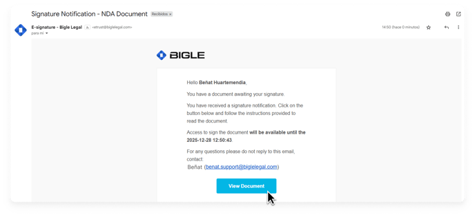 Captura de la plataforma de Bigle - SMS doble autenticación 6 - Email ENG